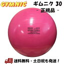 ギムニク 30 GYMNIC 30cm バランスボール フクシア ピンク 子供用 こども キッズ ヨガボール 体幹 バランス トレーニング 運動 ノンフタル酸 安心素材 -正規品- その1