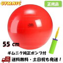 ギムニク (GYMNIC) ギムニク 55 赤 ポンプ 空気入れ 付  (バランスボール 55cm ・ギムニク純正ダブルアクション ハンドポンプ) レッド 空気 -正規品-