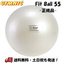 ギムニク (GYMNIC) フィットボール 55 バランスボール Fit Ball 55cm パールホワイト BRQ アンチバースト イス ダイエット トレーニング ストレッチ -正規品-