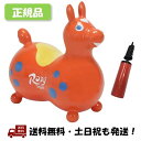 -倍速ハンディポンプ付- RODY MAX / ロディ マックス - オレンジ / Orange 大きい 大きな ロディ 大 バランスボール プレゼント 小学生 大人 -正規品-