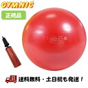 (ポンプ付) ギムニク (GYMNIC) PLUS (プラス) 55 赤 レッド LP9528 イタリア製 バランスボール ポンプ 空気 入れ -正規品-