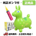 【ロディ専用ポンプ付】RODY ロディ ライム Lime 黄緑系 ノンフタル酸 ポンプセット 空気入れ イタリア生まれ 可能性の色 内祝い メーカー保証 -正規流通品-