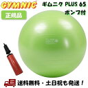 (ポンプ付) ギムニク プラス 65 GYMNIC PLUS 65cm 緑 ライムグリーン LP9540 イタリア製 バランスボール ポンプ 空気入れ -正規品-