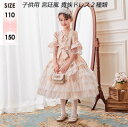 上質 刺繍 ジャカード 2種類 子供ドレス 女の子 こども服 貴族ドレス ステージ衣装 舞台 オペラ声楽 中世貴族風 お姫様ドレス 宮廷中世風 ドレス 中世ヨー...