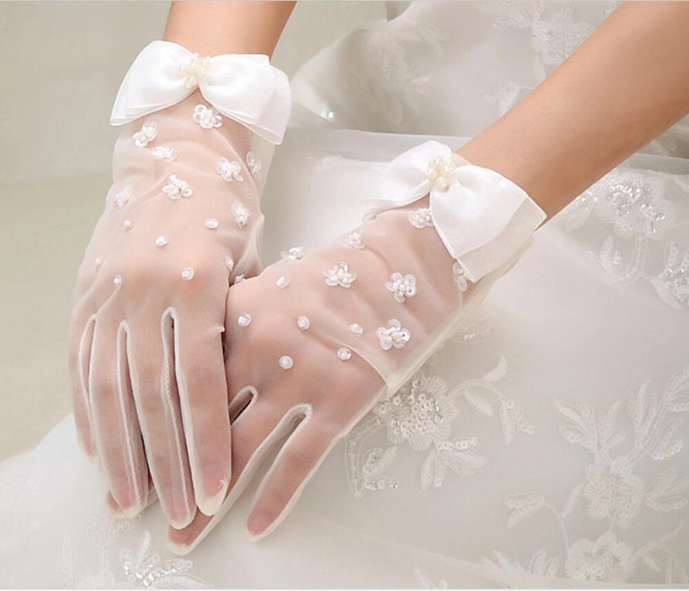 ̵ۥ硼ȥ ǥ󥰥 ǥ󥰥 ǥ󥰾ʪ ɽ ֥饤뾮ʪ 졼 ɽ ֥饤뾮ʪץݡѡƥ...