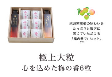 梅の奏で(かなで) 紀州の梅のフルコース!梅酒2種(各150ml入り)とはちみつ入り超大粒梅干しの詰め合わせ 桐の化粧箱入り プレゼント 実用的 母の日 父の日 敬老の日 お中元 お歳暮 ギフト 梅干し 梅酒 お酒
