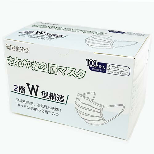 TENKAPAS 2層マスク 5000枚 (1箱100枚入×50箱) レギュラーサイズ ASNmask07|雑貨・ホビー・インテリア 雑貨 雑貨品【代引き決済不可】【日時指定不可】