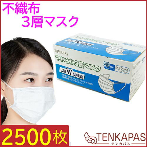 TENKAPAS 2層マスク 5000枚 (1箱100枚入×50箱) レギュラーサイズ ASNmask07|雑貨・ホビー・インテリア 雑貨 雑貨品【代引き決済不可】【日時指定不可】