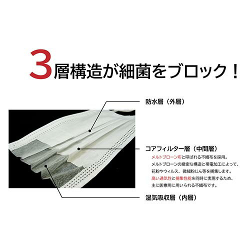 TENKAPAS 2層マスク 5000枚 (1箱100枚入×50箱) レギュラーサイズ ASNmask07|雑貨・ホビー・インテリア 雑貨 雑貨品【代引き決済不可】【日時指定不可】