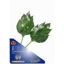 A&K プレミアム榊 丹波産高級椿葉使用 SSサイズ ASNSKK-007SS|雑貨・観葉植物 ・インテリア 雑貨 雑貨品