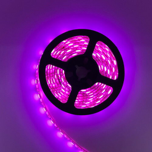 ���ܥȥ饹�ȥƥ��Υ����� USB�ơ���LED 2m �ԥ� ASNTPLED2M-PK|�ѥ����� �ѥ�������յ��� USB��Ϣ