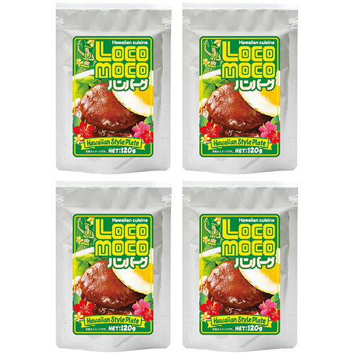 ロコモコハンバーグ ASNK20146015|食品