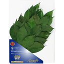 A&K プレミアム榊 丹波産高級椿葉使用 Mサイズ ASNSKK-004PM|雑貨・観葉植物・インテリア 雑貨 雑貨品