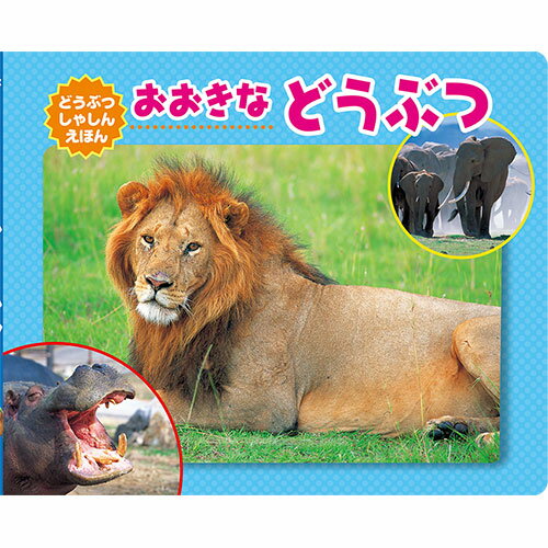 COSMOS コスモス 写真えほん おおきな どうぶつ ASNCSS62319|雑貨・ホビー・インテリア 雑貨 雑貨品