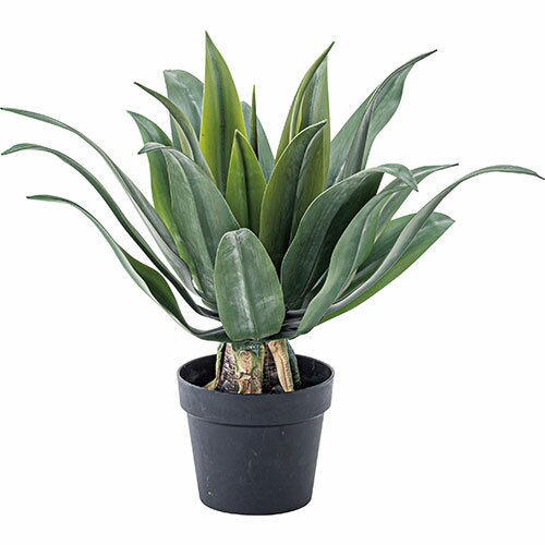 東谷 フェイクグリーン アガベ グリーン ASNGRN-14|雑貨・ホビー・インテリア インテリア 収納家具