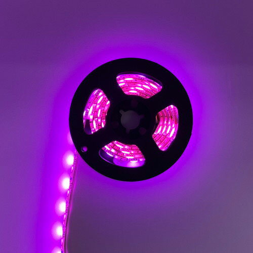 ���ܥȥ饹�ȥƥ��Υ����� USB�ơ���LED 1m �ԥ� ASNTPLED1M-PK|�ѥ����� �ѥ�������յ��� USB��Ϣ