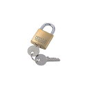 【5個セット】 サンワサプライ eセキュリティ(マスターキー対応南京錠・大) ASNSLE-1LMX5|パソコン オフィス用品 テスター(2)