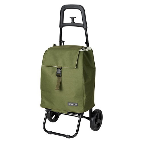 å ïǤ餯餯Ȥ뾮 ⡼ͥ S  ASNREP-558522|ߡۥӡƥꥢ  ȡ꡼֡