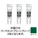 【3本×5セット】 ターナー色彩 アクリルガッシュ 20ml 44パーマネントGRディープ ASNTURNER108449X5|雑貨・ホビー・インテリア ホビー...