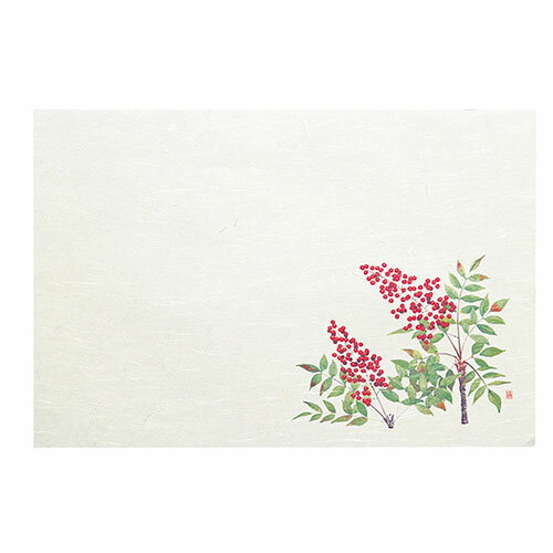 ヤマコー てまひま工房 四季 おもてなしセット 南天 ASNyamaco88755|雑貨・ホビー・インテリア キッチン雑貨 食器・カトラリー