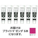 【6本×5セット】 ターナー色彩 アクリルガッシュ 11ml 160ブライトマゼンダ ASNTURNER108837X5|雑貨・ホビー・インテリア ホビー アー...
