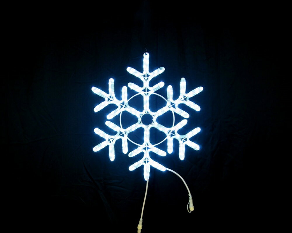 フラッシュスノーフレーク50[CRNl2dm711]2Dモチーフ