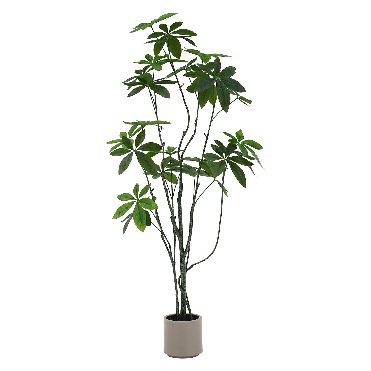 フェイクグリーン パキラ 150cm ジョイント[HJB28055]|インテリアガーデン インテリア雑貨 ギフトショー フェイクグリーン リビング