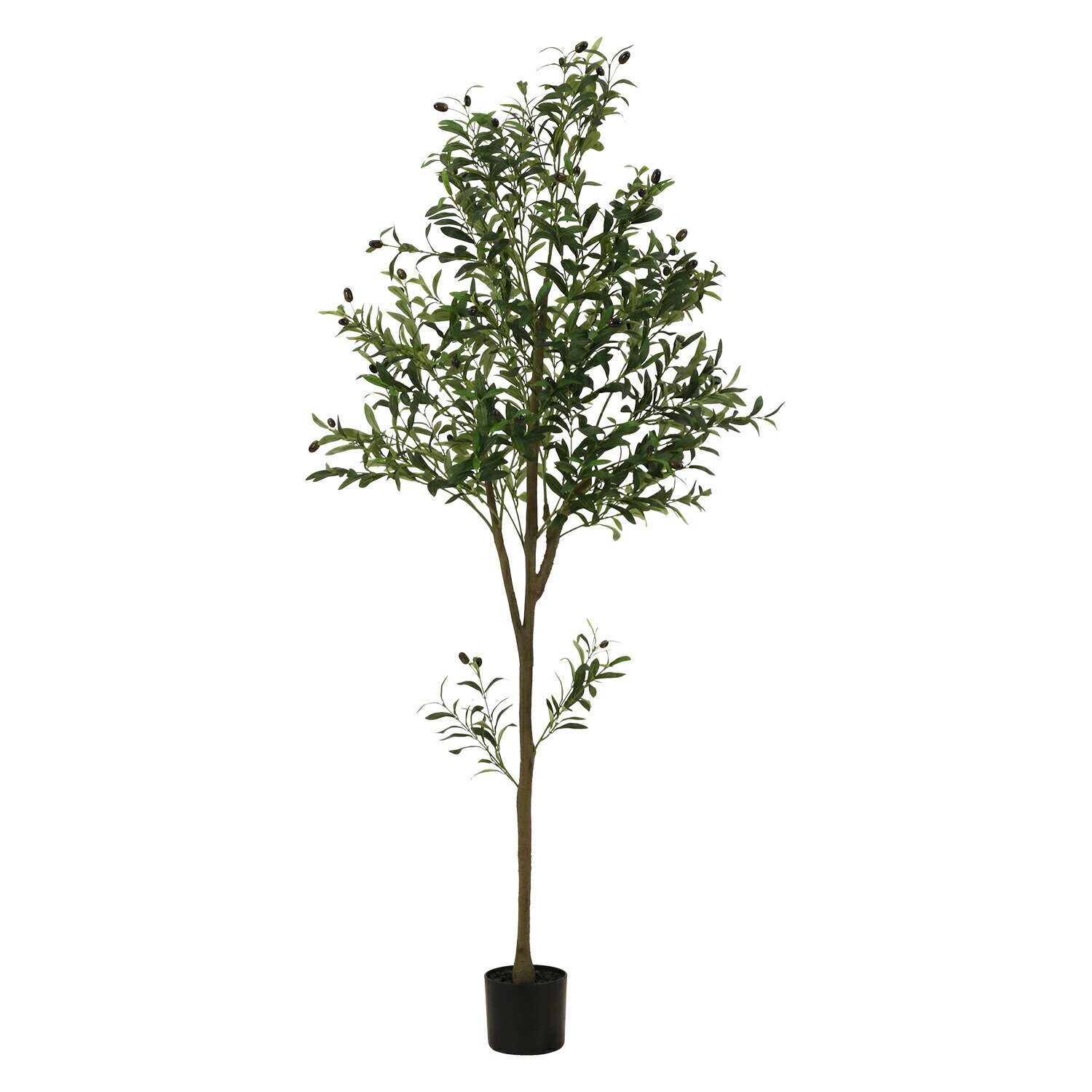 フェイクグリーン オリーブ 180cm ジョイント[HJB41122]|インテリアガーデン インテリア雑貨 ガーデン&アウトドアEXPO ガーデン・室内ガーデン フェイクグリーン リビング【インテリアグリーン 店舗ディスプレイ 】