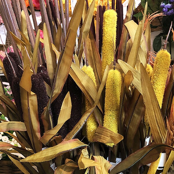 75cm ガマスプレイ [ONSLESP585...の紹介画像3