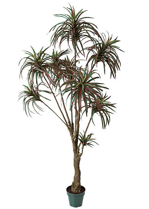 180cm レッドコンシンネツリー 光触媒スプレープレゼント [ONSLETR7671] 代引決済不可 送料無料 |人工観葉植物 大型 アートフラワー 造花 フェイクグリーン 植木 装飾 飾付 店舗装飾 ディスプレイ 飾り付け インテリア おしゃれ レッド コンシンネツリー