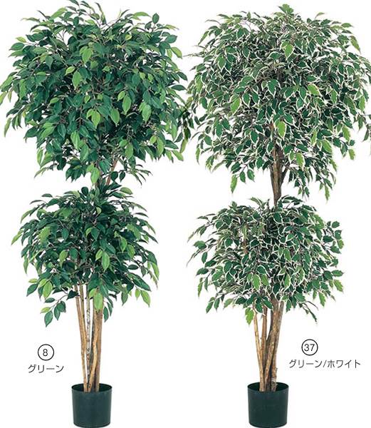150cm フィカスダブルレイヤーツリー(ナチュラルトランク) 光触媒スプレープレゼント[ONSLETR7572] 代引決済不可 送料無料|人工観葉植物 大型 アートフラワー 造花 フェイクグリーン 植木 装飾 飾付 イベント パーティー 店舗装飾 ディスプレイ 飾り付け インテリア おしゃれ