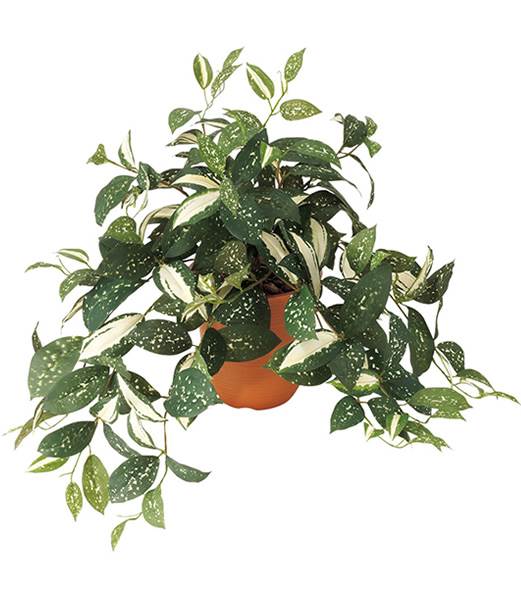 50cm コルディリネブッシュ(174) [ONSLEBU7618] |造花 フラワー フェイク 人工観葉植物 リーフ 装飾 デコレーション 飾り イベント パーティー フラワーアレンジメント 店舗装飾 フェイクグリーン ガーランド ディスプレイ 飾り付け インテリア おしゃれ 鉢花 鉢植え