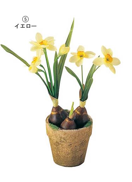 20cm ��������庬�ݥå� [ONSFLGD1663] |�͹����տ�ʪ �����ȥե� ¤�� �ե� �ե��������꡼�� ���� ���� ��ʪ �ǥ��졼����� ���� ���٥�� �ѡ��ƥ��� �ե�����󥸥��� Ź������ �������� �ݥå� ����ȭ �ֺ� �ǥ����ץ쥤 �������� �����դ�