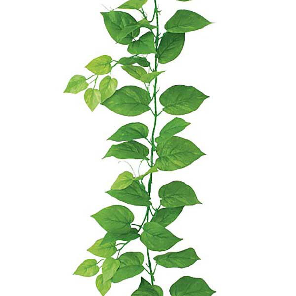 Pothos - 180cm ライトグリーンポトスガーランド(82/ワイヤー入り) [ONSLEGA7638] |人工観葉植物 フェイクグリーン 造花 装飾 デコレーション 飾り付け 店舗装飾 ディスプレイ 室内装飾 インテリア ツタ 蔦 ガーランド ポトス