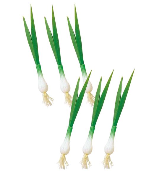 120mm ネギ（6個） [ONSDIFV7060] |フェイクフード 食品サンプル レプリカ ディスプレイ デコレーショ..