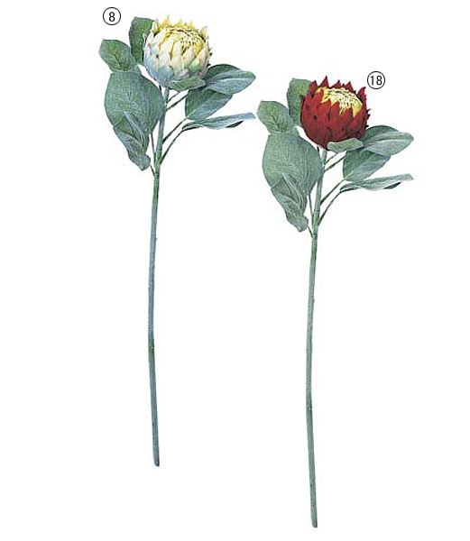 75cm プロテア [ONSFLSP3671] |人工観葉植物 アートフラワー 造花 フラワー フェイクグリーン 装飾 飾付 小物 デコレーション 飾り イベント パーティー フラワーアレンジメント 店舗装飾 グリーン バーガンディ 花材 手作り 材料 パーツ ディスプレイ 室内装飾 飾り付け