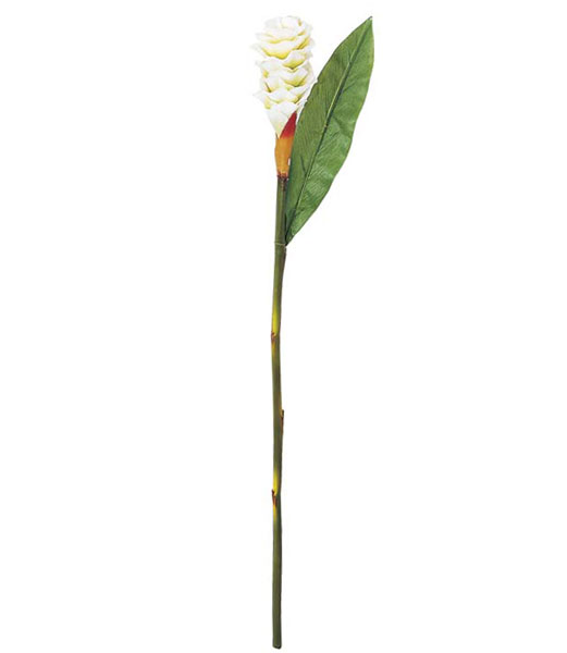 80cm ジンジャー [ONSFLSP3691] |人工観葉植物 アートフラワー 造花 フラワー フェイクグリーン 装飾 ..
