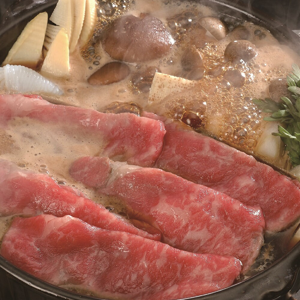 岐阜 飛騨牛 すきやき (モモ・バラ650g) SHS3950114 |精肉 肉加工品 牛肉 すきやき 詰め合わせ お歳暮 父の日 特産品 誕生会 プレゼント