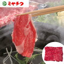 宮崎牛 しゃぶしゃぶ モモ500g 宮崎牛のもも肉 SHS0130216 |牛肉 しゃぶしゃぶ 肉加工品 お歳暮 父の日 お中元 名産