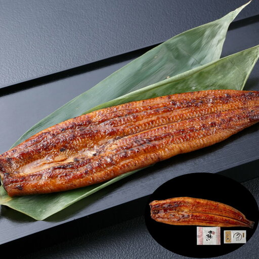 うなぎ問屋の大五蒲焼(一人前) SHS8480019 |魚介類 水産加工品 加工品 うなぎ お中元 父の日 名産 うなぎ問屋の大五蒲焼(一人前) SHS8480019 |魚介類 水産加工品 加工品 うなぎ お中元 父の日 名産