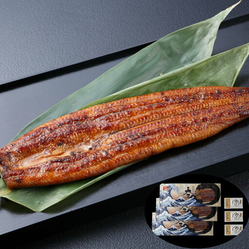 うなぎ問屋の大五鰻蒲焼3尾セット SHS8480027 |魚介類 水産加工品 加工品 うなぎ お中元 父の日 名産 うなぎ問屋の大五鰻蒲焼3尾セット SHS8480027 |魚介類 水産加工品 加工品 うなぎ お中元 父の日 名産