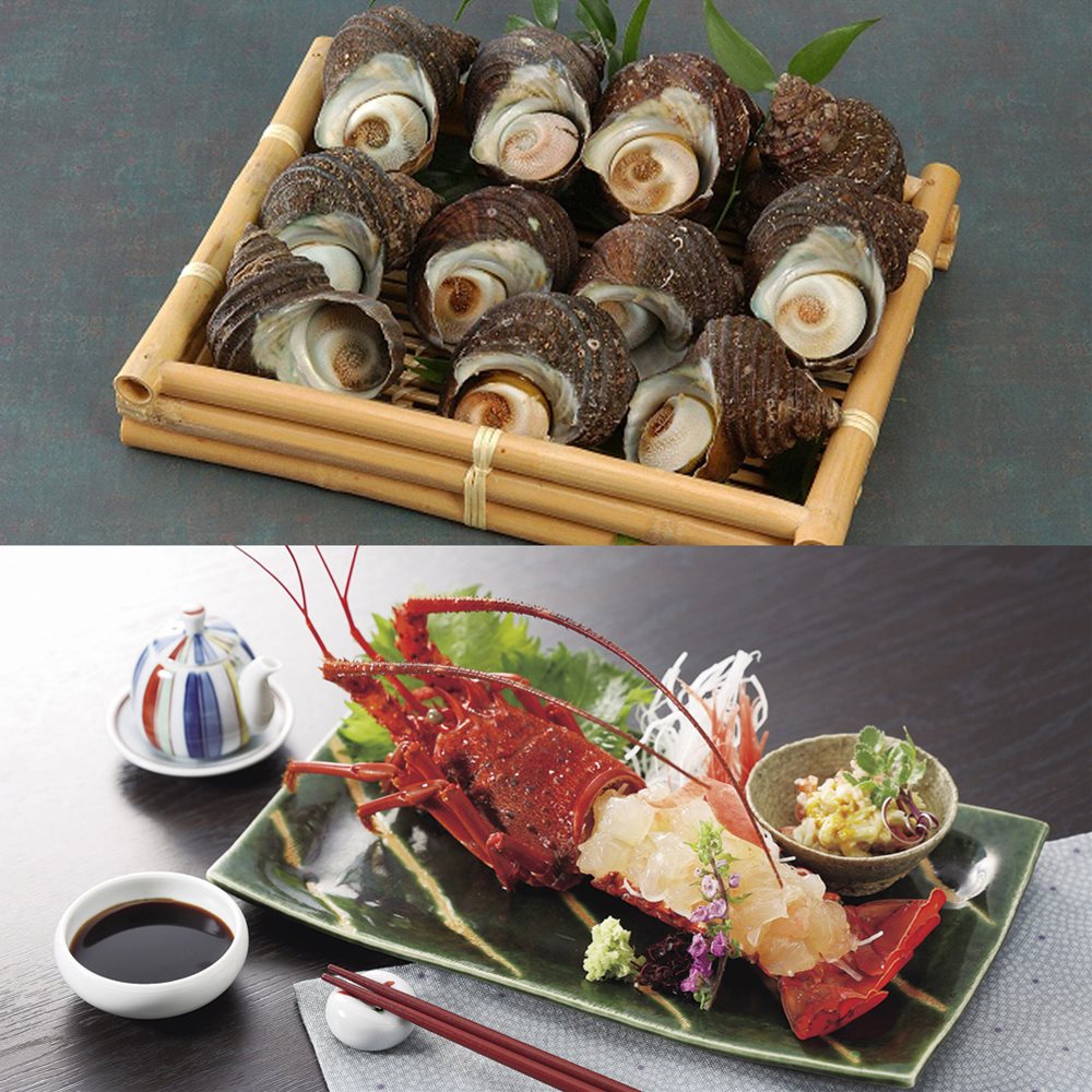 天然伊勢海老と天然サザエ詰合せ 徳島 SHS2940112 |魚介類 水産加工品 伊勢海老 お歳暮 父の日 お中元