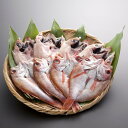 のどぐろ開き干し8尾セット 山口 SHS4130005 |魚介類 水産加工品 のどぐろ お中元 父の日 名産