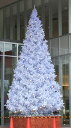 7.2Mノーブルホワイトツリー[MRSMMT0224W]|クリスマス クリスマスツリー デコレーション 店舗装飾 飾り 飾りつけ 飾り付け フェイクグリーン ツリー 7.2m ノーブルツリー ホワイト