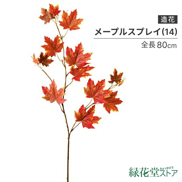 レビューを書いて　緑花堂5％OFFクーポンGET！レビューを書いたらメールでお知らせくださいね 【 サイズ 】全長80cm、葉径5〜9cm 【 素　材 】ポリエステル ◇カテゴリ◇ 花・ガーデン・DIY >> 花・観葉植物 >> 造花・人工観葉植物 >> 造花// 葉 枝 ガーランド オータムリーフ 秋の葉 スプレイ 枝 人工観葉植物 フェイクグリーン80cm メープルスプレイ(14) [ONSLESP5853] |人工観葉植物 アートフラワー 造花 フラワー フェイクグリーン 資材 装飾 飾付 デコレーション 飾り イベント パーティー フラワーアレンジメント 花材 インテリア 店舗装飾 ディスプレイ 室内装飾 飾り付け 秋 メープル スプレイレビューを書いて緑花堂5％OFFクーポンGETしよう！レビューを書いたらメールでお知らせくださいね造花　フェイク 人工観葉植物　食品サンプル　フルーツ　資材 造花　フラワー 人工観葉植物　メープルスプレイ(14)　[ONSLESP5853] ▼関連商品:商品カテゴリー ◇ 葉・枝・ガーランド＞ オータムリーフ・秋の葉＞ オータムスプレイ・枝