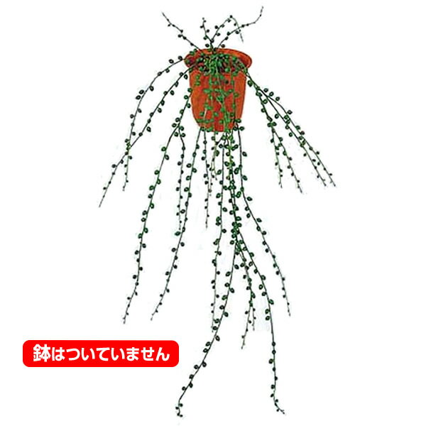 80cm グリーンネックレスバイン(510) [ONSLEBU7442] |人工観葉植物 造花 フェイクグリーン 資材 装飾 ..