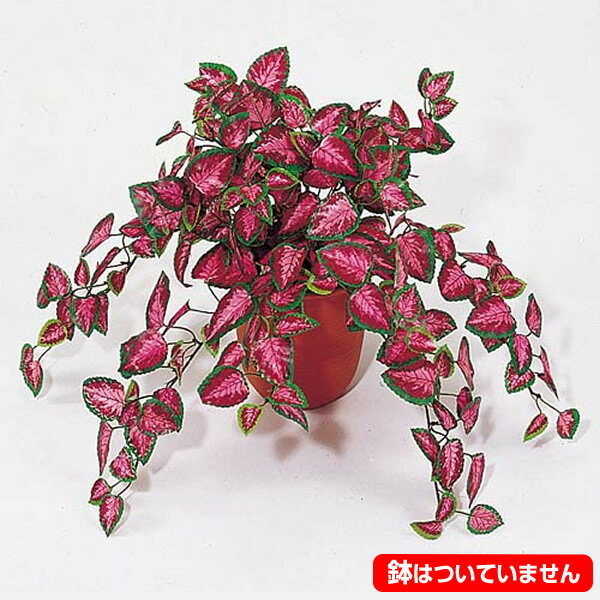 35cm ミニコリウスブッシュ(231) [ONSLEBU7448] |造花 フラワー フェイク 人工観葉植物 リーフ 装飾 デコレーション 飾り イベント パーティー フラワーアレンジメント 店舗装飾 フェイクグリーン ガーランド ディスプレイ 飾り付け インテリア おしゃれ 鉢花 鉢植えのサムネイル