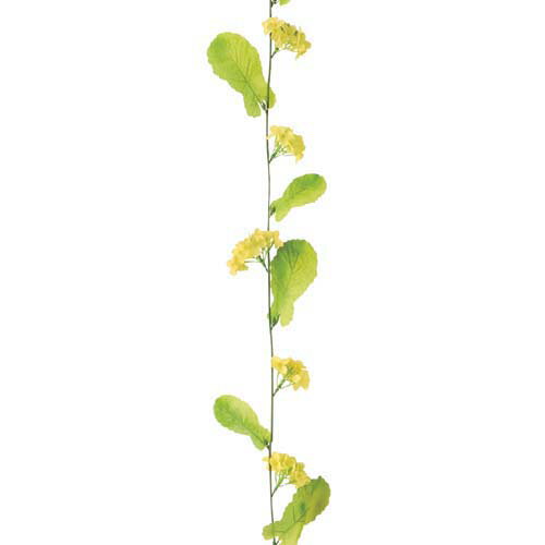 ◆商品詳細 商品説明 商品番号 ONSFLGA1717 寸法 全長180花径7葉径10?13 素材 ポリエステル レビューを書いて　緑花堂5％OFFクーポンGET！レビューを書いたらメールでお知らせくださいねレビューを書いて緑花堂5％OFFクーポンGETしよう！ レビューを書いたらメールでお知らせくださいね花　造花 新菜の花ガーランド(11/11) [ONSFLGA1717]