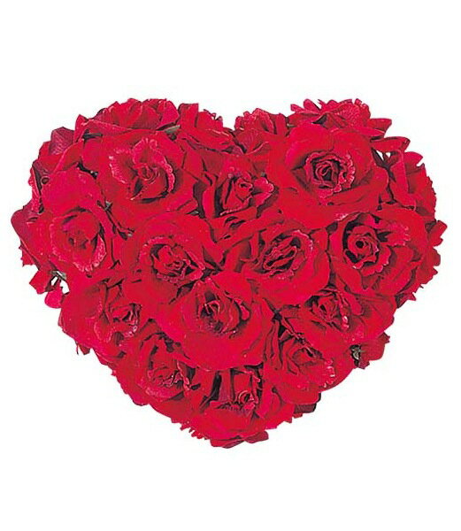 バレンタイン 結婚式 装飾デコレーション 27cm ローズハート 片面 Dihe9852 薔薇 バラ ハート型リース 現代バレンタイン 装飾 の最前線 バレンタイン 結婚式 装飾デコレーション 27cm ローズハート 片面 Dihe9852 薔薇 バラ ハート型リース 現代バレンタイン 装飾 の最前線