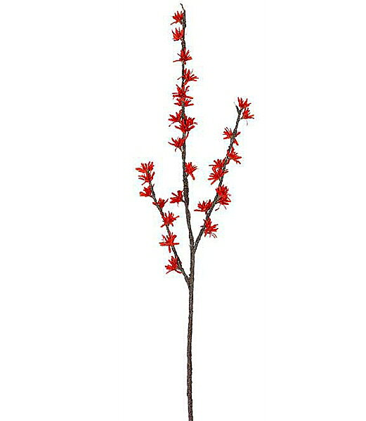 【 サイズ 】全長100cm　花径4〜5cm 【 素　材 】ポリエステル ◇カテゴリ◇ 花・ガーデン・DIY >> 花・観葉植物 >> 造花・人工観葉植物 >> 造花// フラワー 花 マンサク 造花 人工観葉植物100cm マンサク [ONSFLSP8716] |人工観葉植物 アートフラワー 造花 フラワー フェイクグリーン 装飾 飾付 小物 デコレーション 飾り イベント パーティー フラワーアレンジメント インテリア 店舗装飾 ディスプレイ 室内装飾 飾り付け お正月 迎春 アレンジ花▼関連商品:商品カテゴリー ◇ フラワーカテゴリー＞ 花の名前別　は行〜その他＞ マンサク